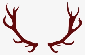 The Only Manufacturer Of Antler Chandeliers In Quebec - Panache Chevreuil #3365801