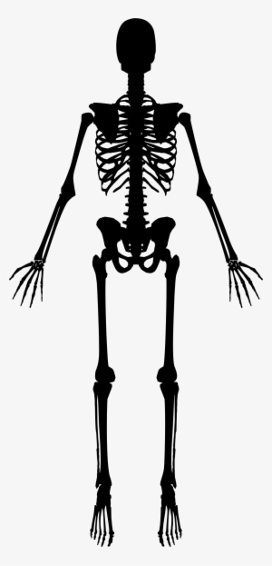 Skeleton Silhouette Png #3366102