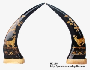 Buffalo Horn Carving #3366224