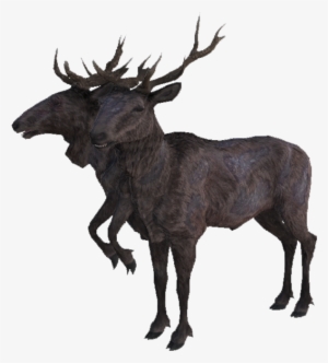 The Vault Fallout Wiki - The Vault #3366281