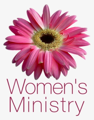 Women's Ministry #3366370