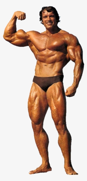 Arnold Png - Lou Ferrigno Dwayne Johnson #3366575