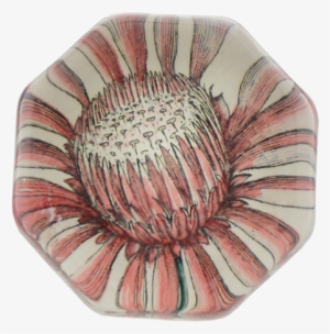 Collection Name - Aster #3366804