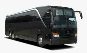 56 Coach Bus - Dynamic Tours & Transportation #3368269