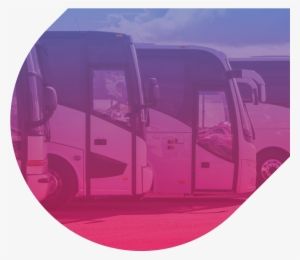 Dulles Charter Bus Rental - Luxury Vehicle #3368370