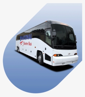 Want To Learn More About What To Expect When You Book - Road Transportation #3368852