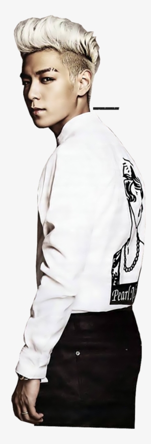 Top Bigbang Png - Top Big Bang 2011 #3369276