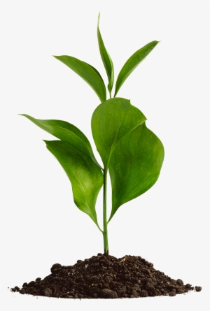 Ui/ux Design And Implementation Principles At Iflexion - Stock Photography #3370166