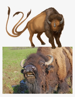 1080px Bison Tauros - Realistic Tauros #3370431