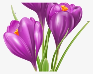 Crocus Clipart Cute Flower Garden - Crocus Clipart #3371150