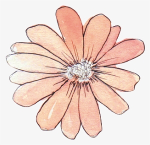 Daisy Tumblr Banner Download - Watercolor Flowers Tumblr Png #3371663