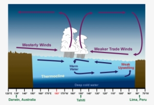 El Niño Conditions - Normal El Nino And La Nina #3373055