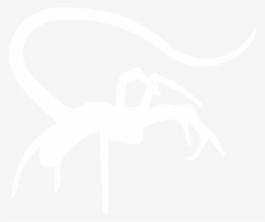 The Facehugger Is The Second Stage Of The Xenomorph's - Insect #3373659