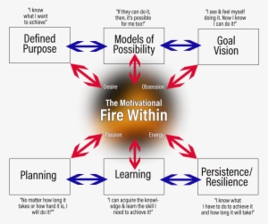 Self Discipline Model - Neuropsychology Of Self Discipline #3373662