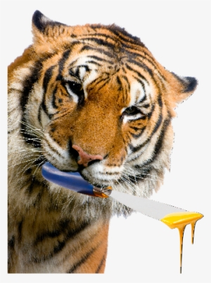 Tigre - Тигр Пнг #3374602