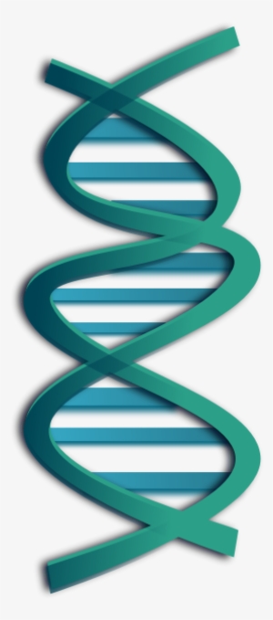 Dna Clip Art #3374853