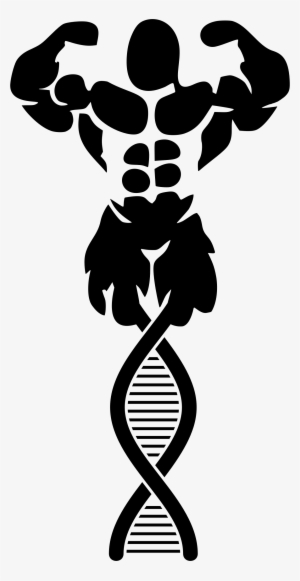 Big Image - Logos De Fisicoculturismo Y Fitness #3374907