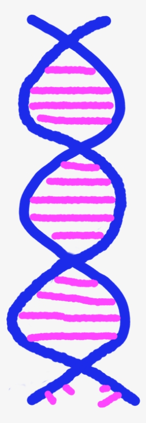 Cartoon Of Dna Helix - Dna In Cartoon #3374946