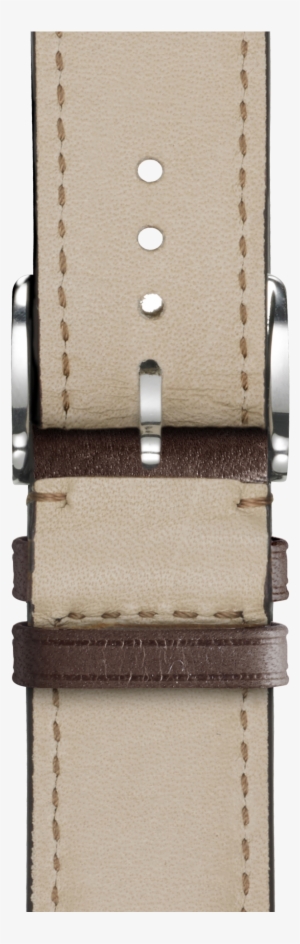 Prev - Strap #3375669