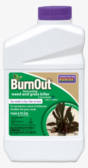 Burnout® Conc - Davespestdefense Burnout Weed And Grass Killer Ready #3376293
