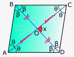 C) Diagonales Del Rombo - Propiedades Del Rombo #3377050