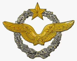 French Af Pilot Wings - French Military Pilot Wings #3377214