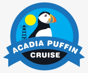 Acadia Puffin Cruise - Puffin #3377240