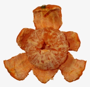 Fruit, Tangerine, Orange, Citrus, Fresh, Png, Food - Tangerine #3377665
