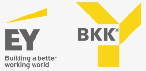 Ernst & Young Bkk Logo - Ernst & Young Logo 2018 #3378079