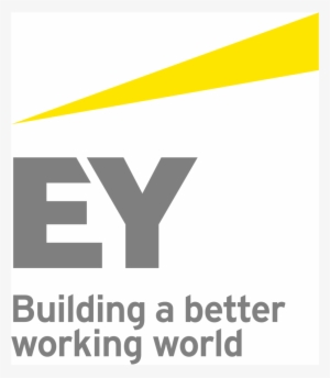 Ernst & Young #3378459