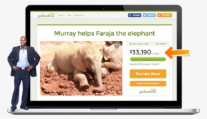 75-150 Tweets To Kick Start Your Campaign - African Elephant #3379546