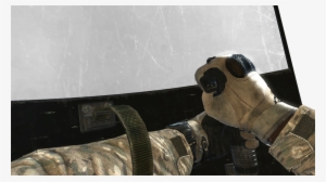 Riot Shield Melee Mw3 - Modern Combat 5 Update Xx #3380189