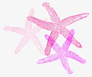 Small - Fish Clip Art #3380484