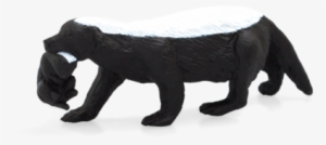 Honey Badger Female With Cub - Honey Badger #3381376