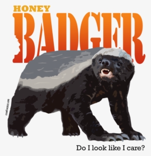Honey Badger Dont Care Wallpaper - Honey Badger Don T Care Png #3381479