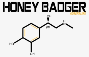 Modern, Professional, Fitness T-shirt Design For Honey - Diagram #3381616