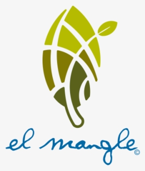 Aqui El Mangle C - Graphic Design #3382093