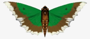 Sumatran Nettletree Butterfly - Wiki #3382344