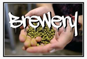 Website Homepage Buttons-05 #3382668