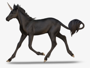 Baby Unicorn - Breyer 1:9 Traditional Series Zenyatta's First Colt #3383130