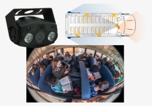 Entire Window Lines, Windshield To Rear Exit Door, #3384737