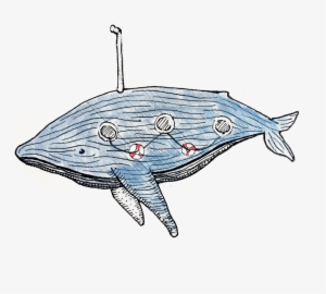 Whale - Shark #3384863