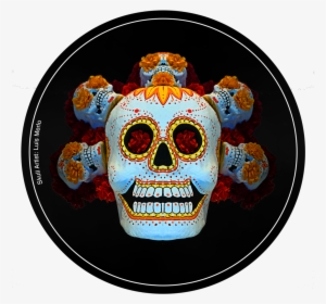 Mr Ignite Redcoastersidea - Skull #3385413