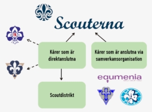 Så Är Kårerna Anslutna Till Scouterna - Scouterna #3385824