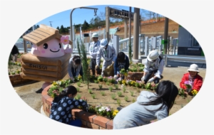 20 Sixth Graders Of Shisui, Omurodai Elementary School, - Plantation #3386902