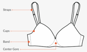 Does This Bra Fit Here's How To Know - Brassiere #3387039