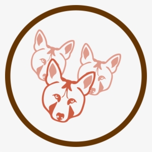 Research Related To Red Wolf Population & Survival - Ppp #3387589