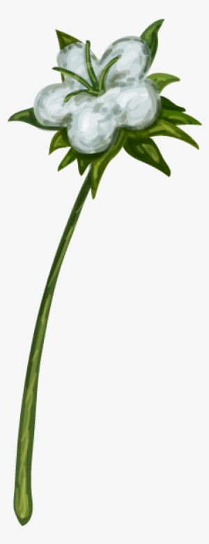 Cotton Plant #3387696