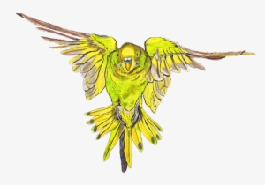Bleed Area May Not Be Visible - Flying Budgie #3388764