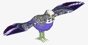 Budgie 10 - Macaw #3388788